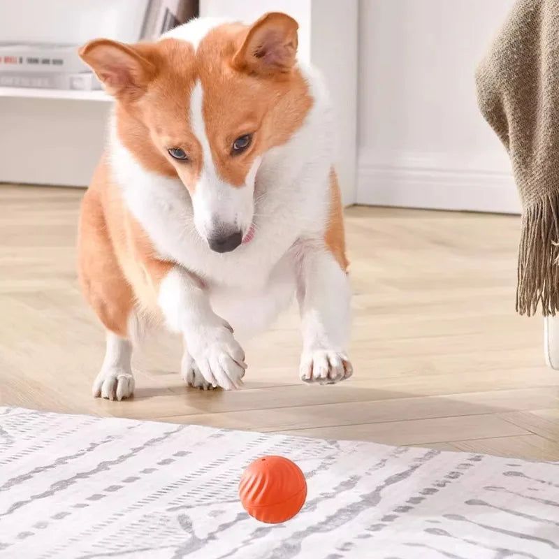 Pelota de juguete para mascotas con movimiento automático, con USB, saltarina y giratoria